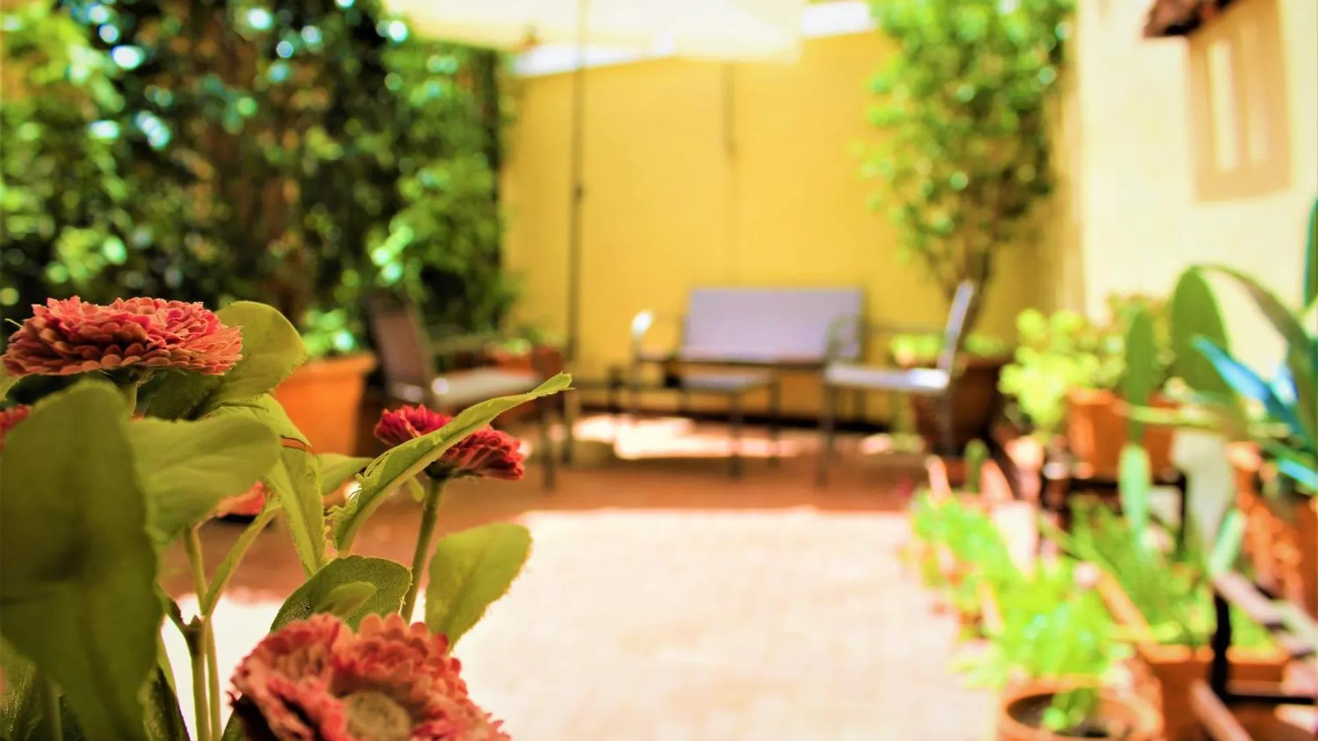 Di Affreschi E Volte Bed & Breakfast Naples